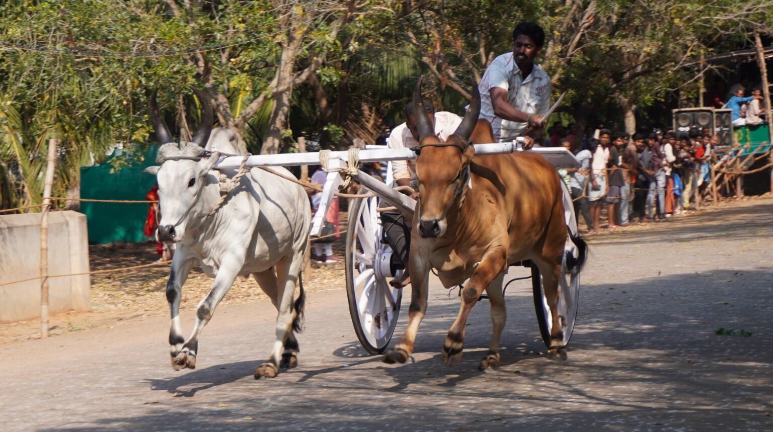 KPR College of Arts Science and Research Event(1)