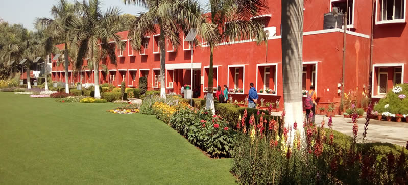 Lady Shri Ram College Campus View