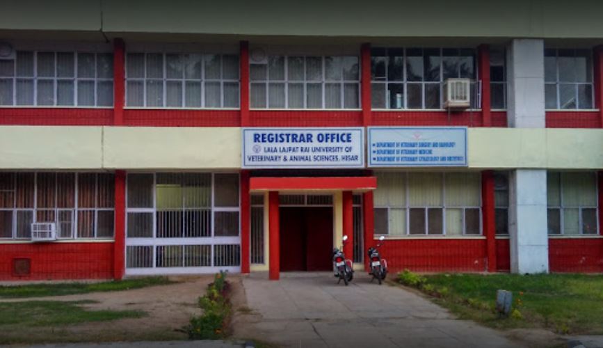 LUVAS Hisar Campus Building(2)