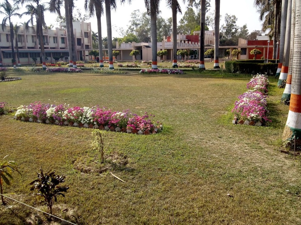 MMMUT Gorakhpur Campus View(2)