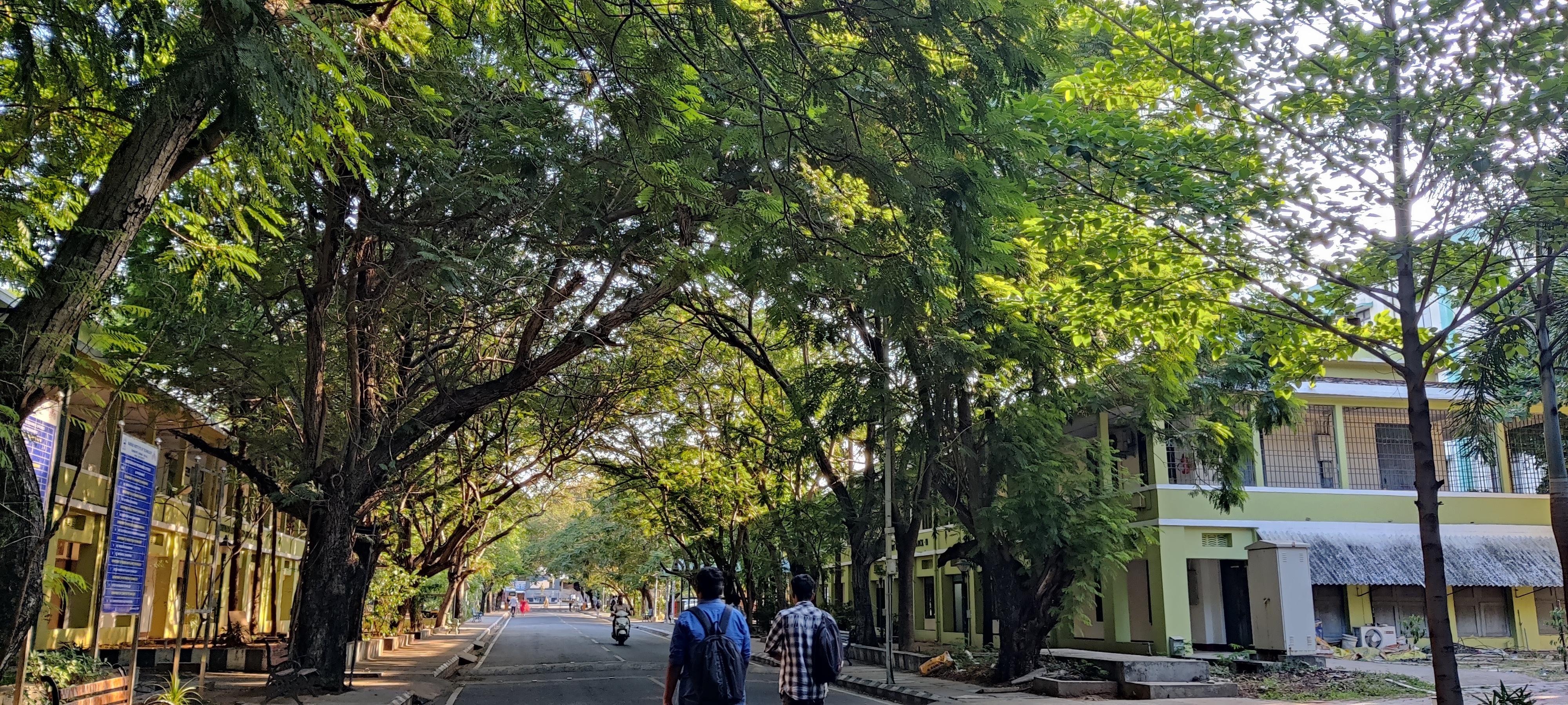 MIT Chennai Campus View(2)
