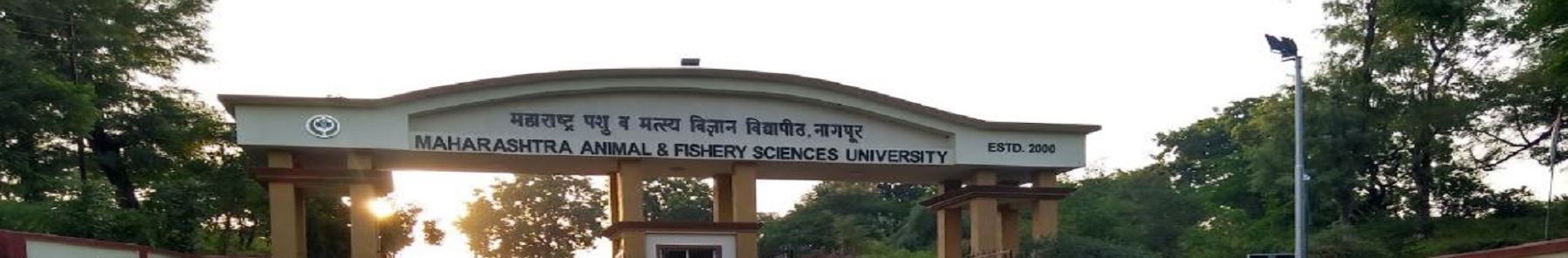 MAFSU Entrance(1)