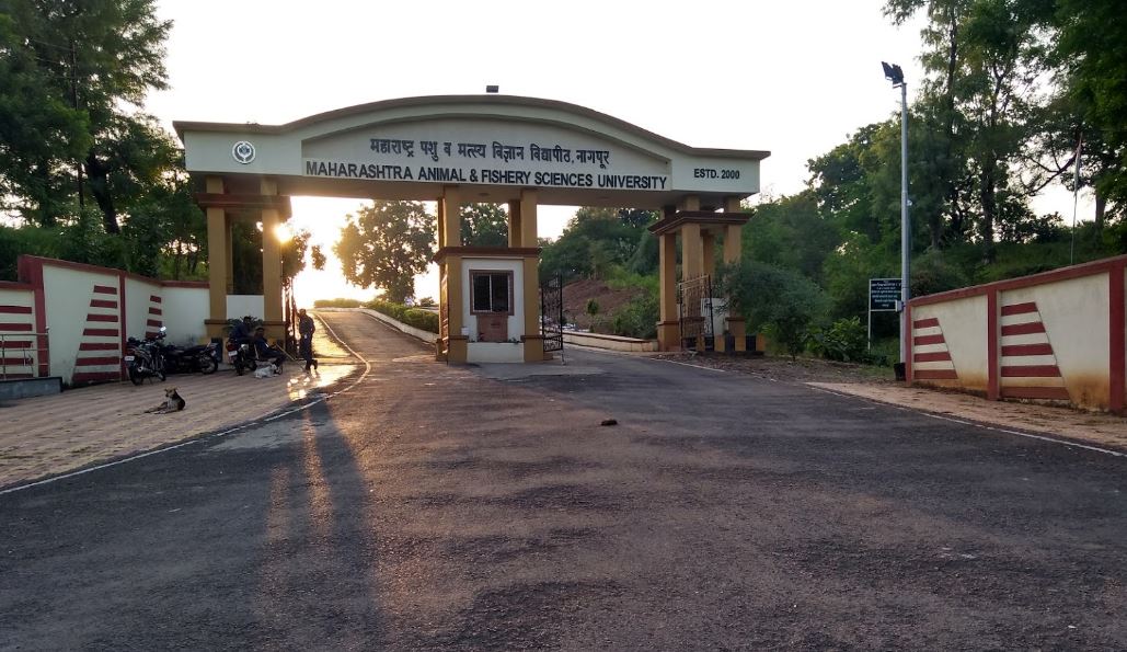 MAFSU Entrance(2)