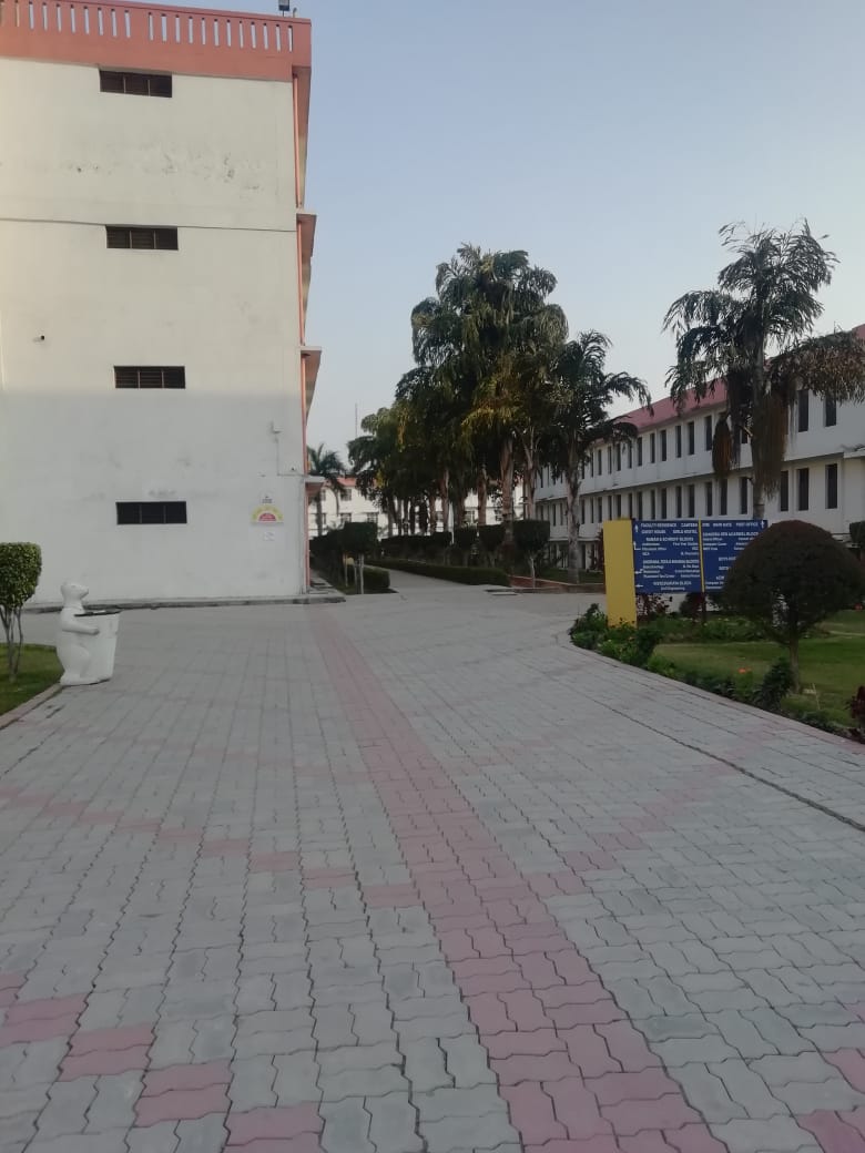 MIET Meerut Campus View(2)
