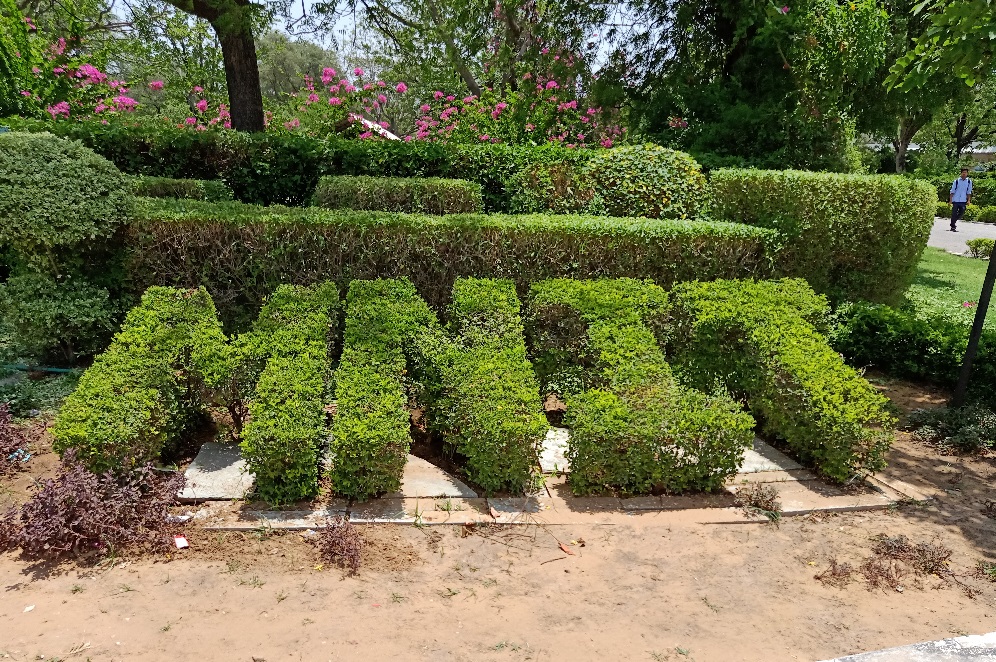 MNIT Jaipur Campus View