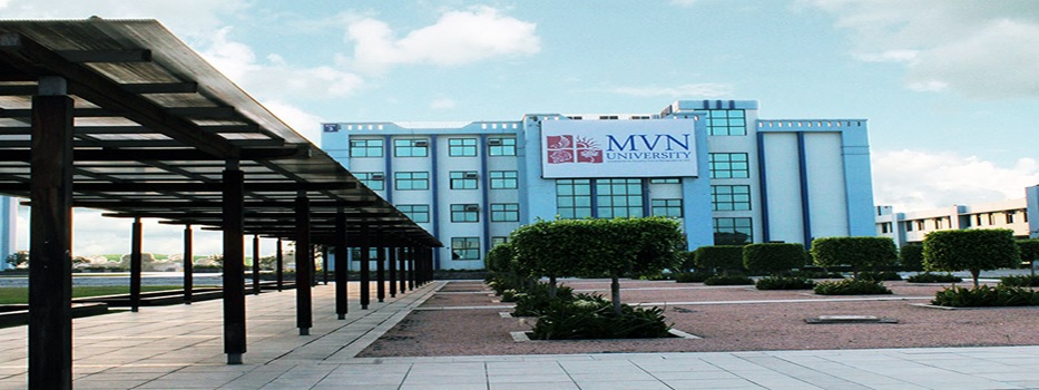 MVN University Campus Building(1)