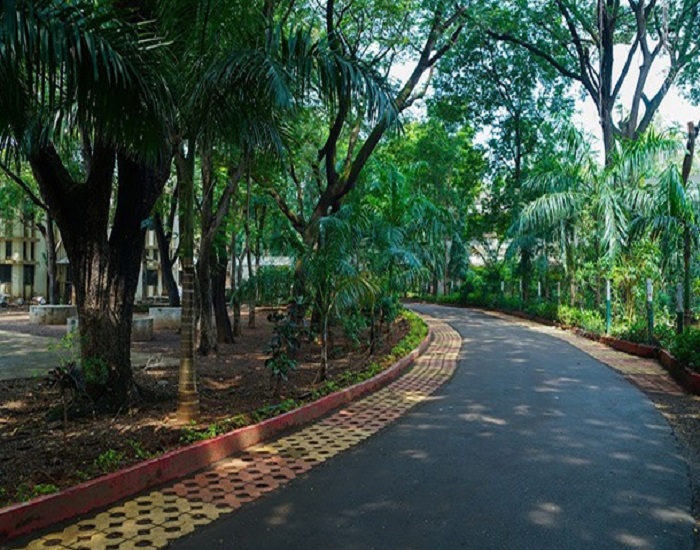 NAEMD Mumbai Others(3)