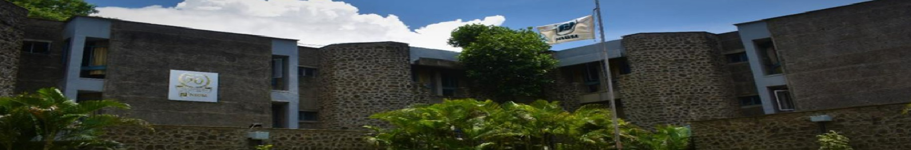 NIBM Pune Others(11)