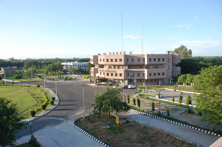 NIT Jalandhar Campus View(1)