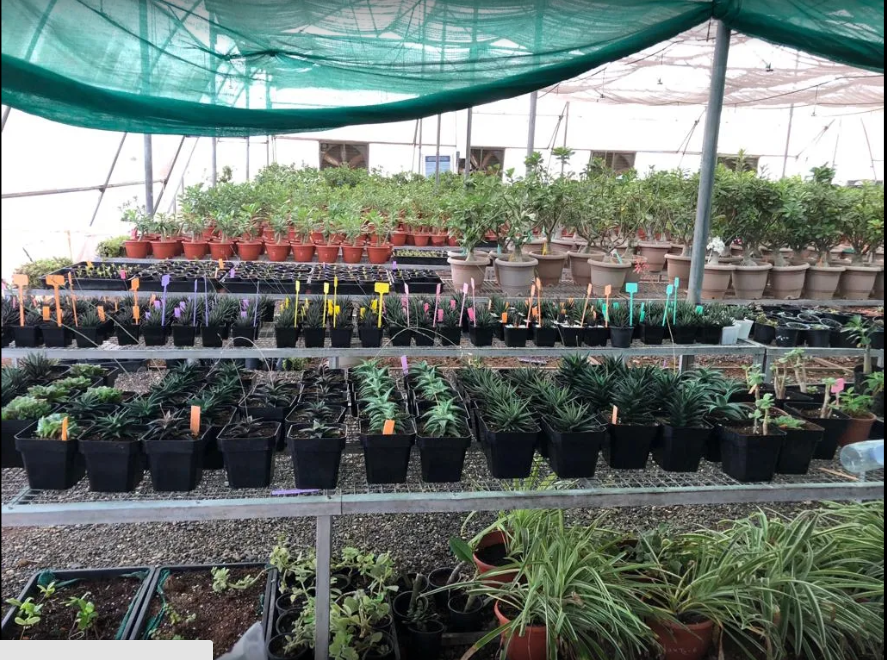 Navsari Agricultural University Campus View(1)