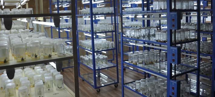 Navsari Agricultural University Labs(2)
