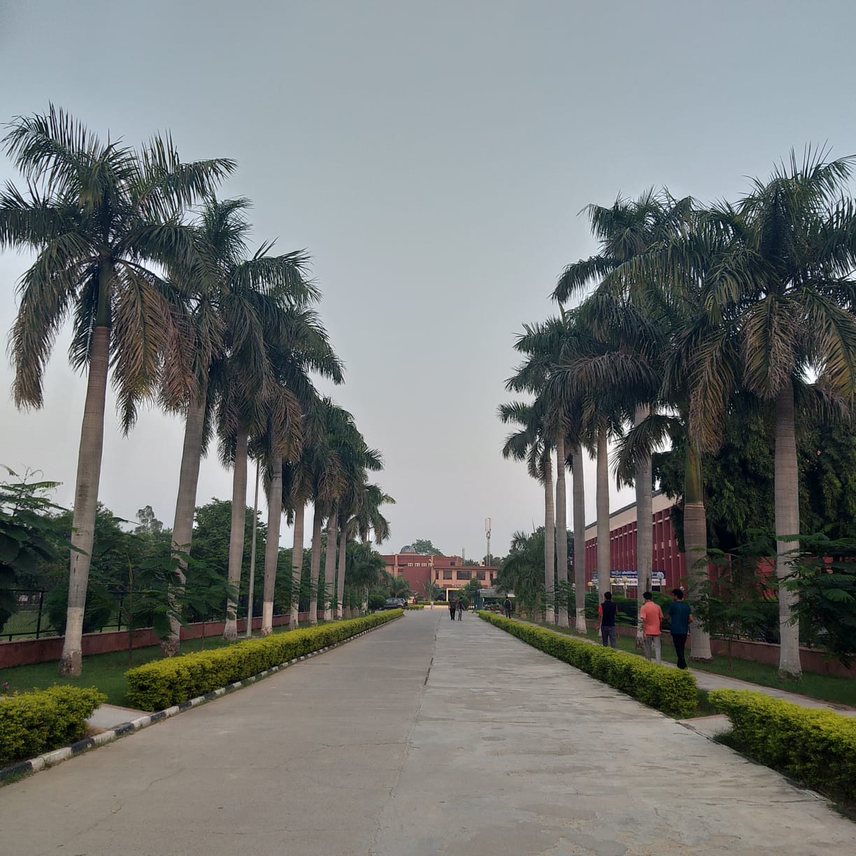 NIT Kurukshetra Campus View(1)