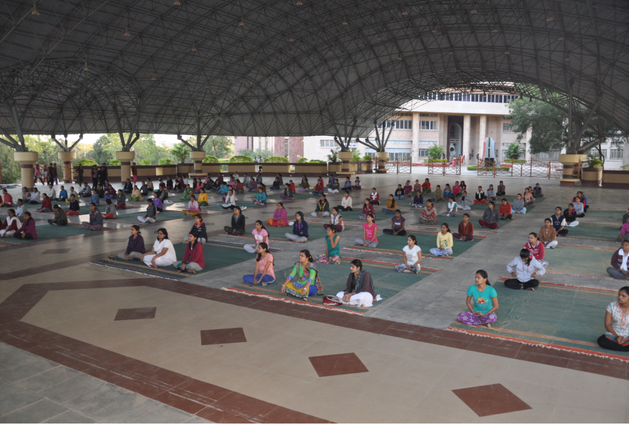 North Maharashtra University Others