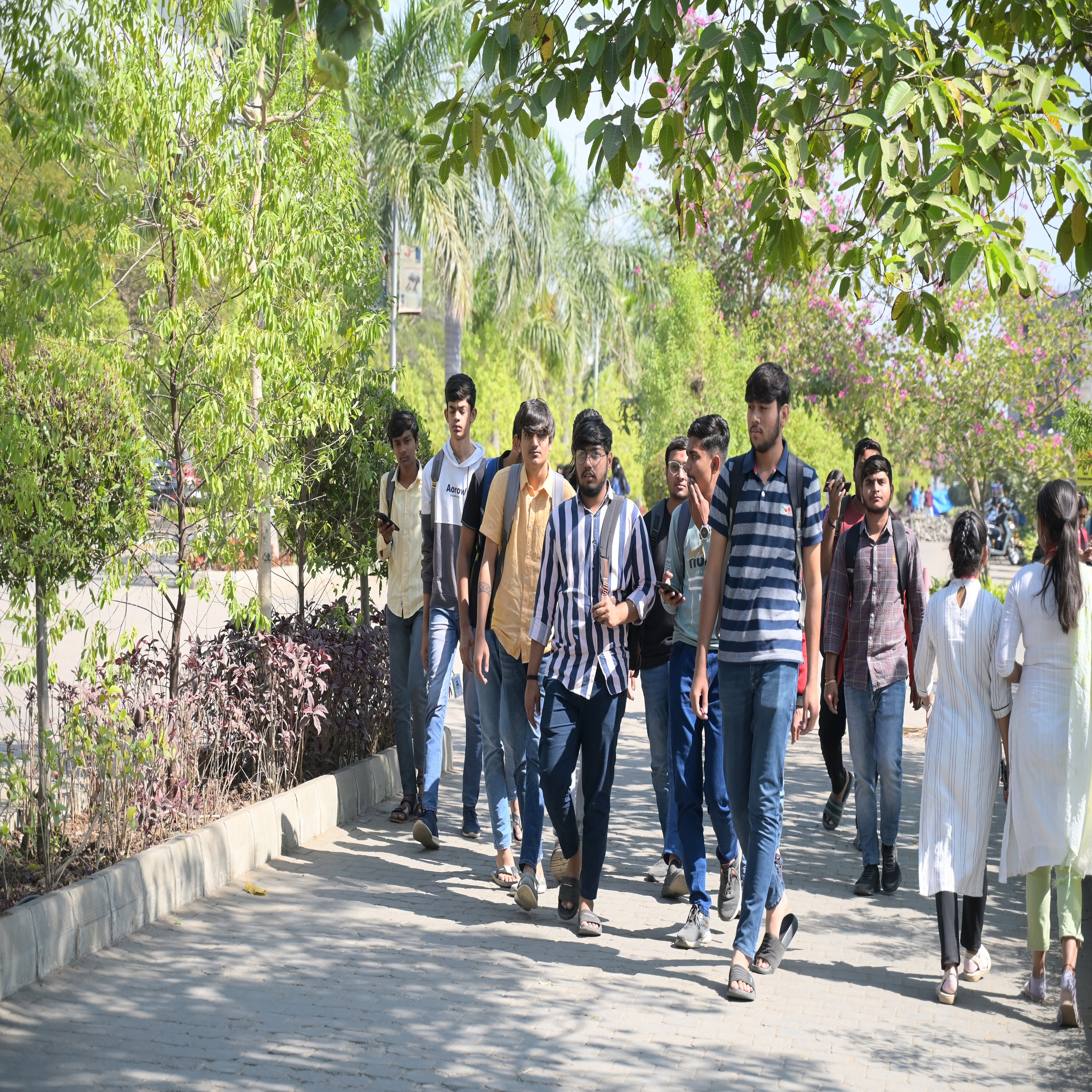 PP Savani University Others(2)