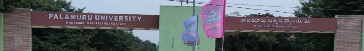 Palamuru University Others