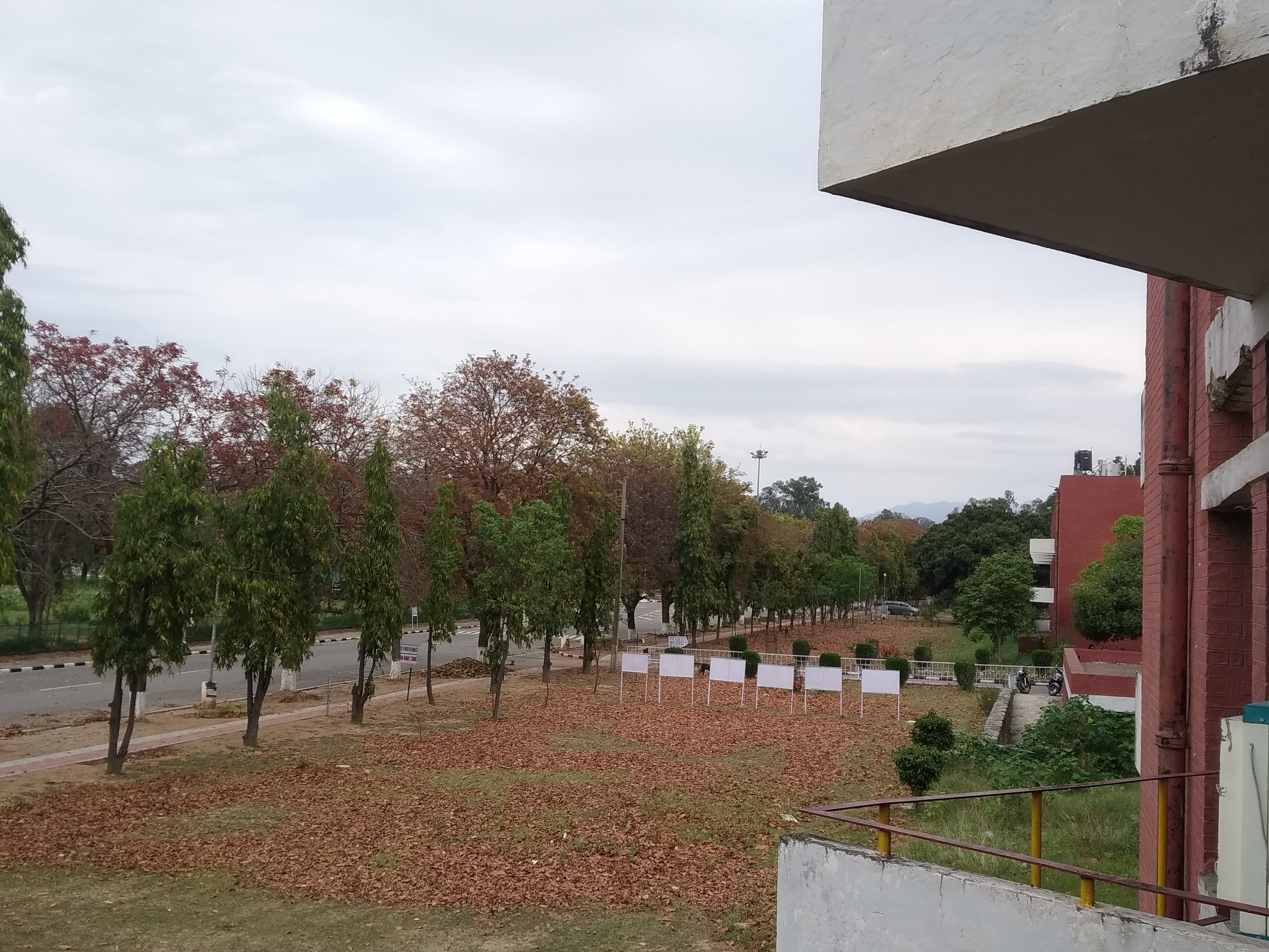 Panjab University Campus View(3)
