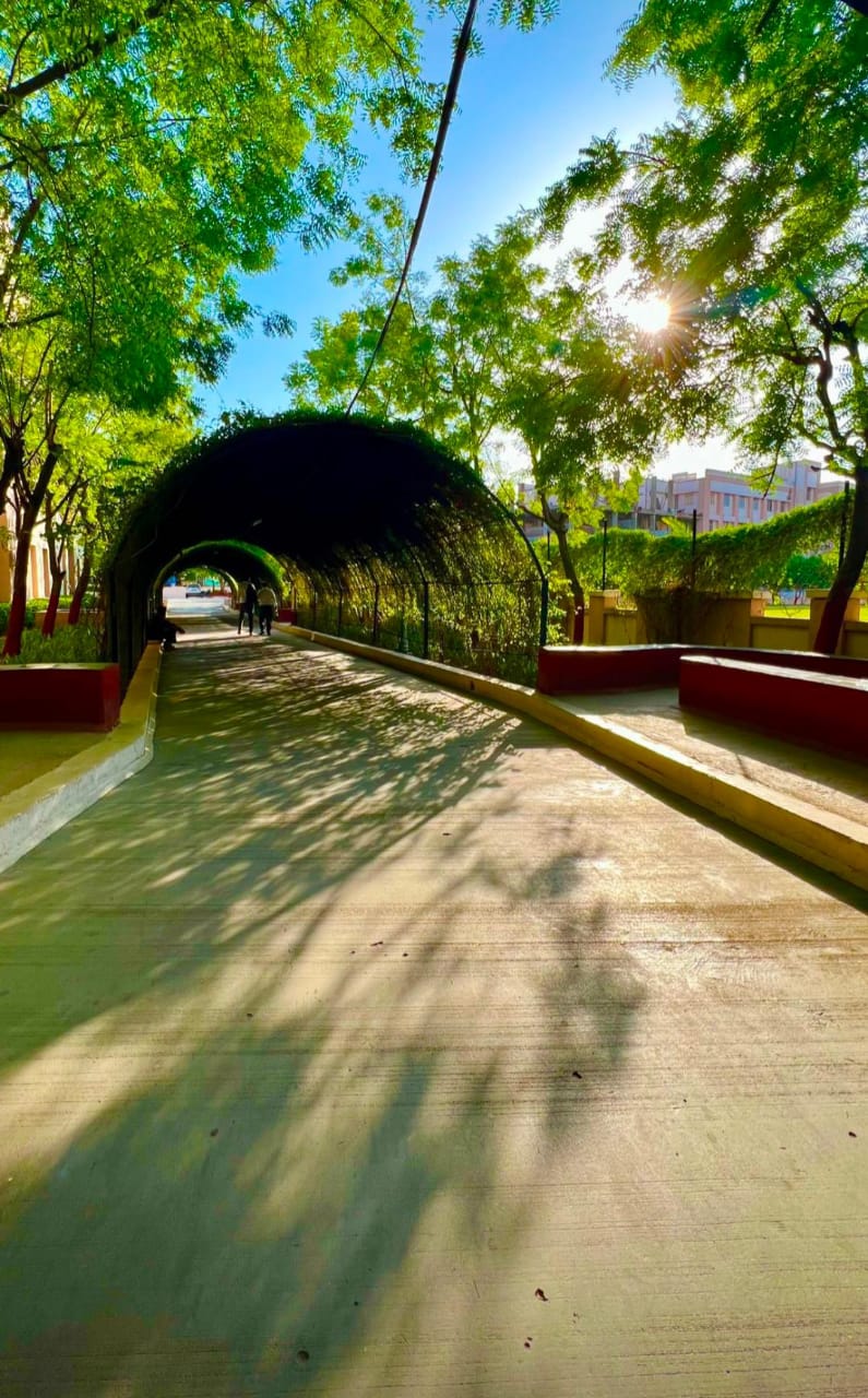Parul University Campus View(2)