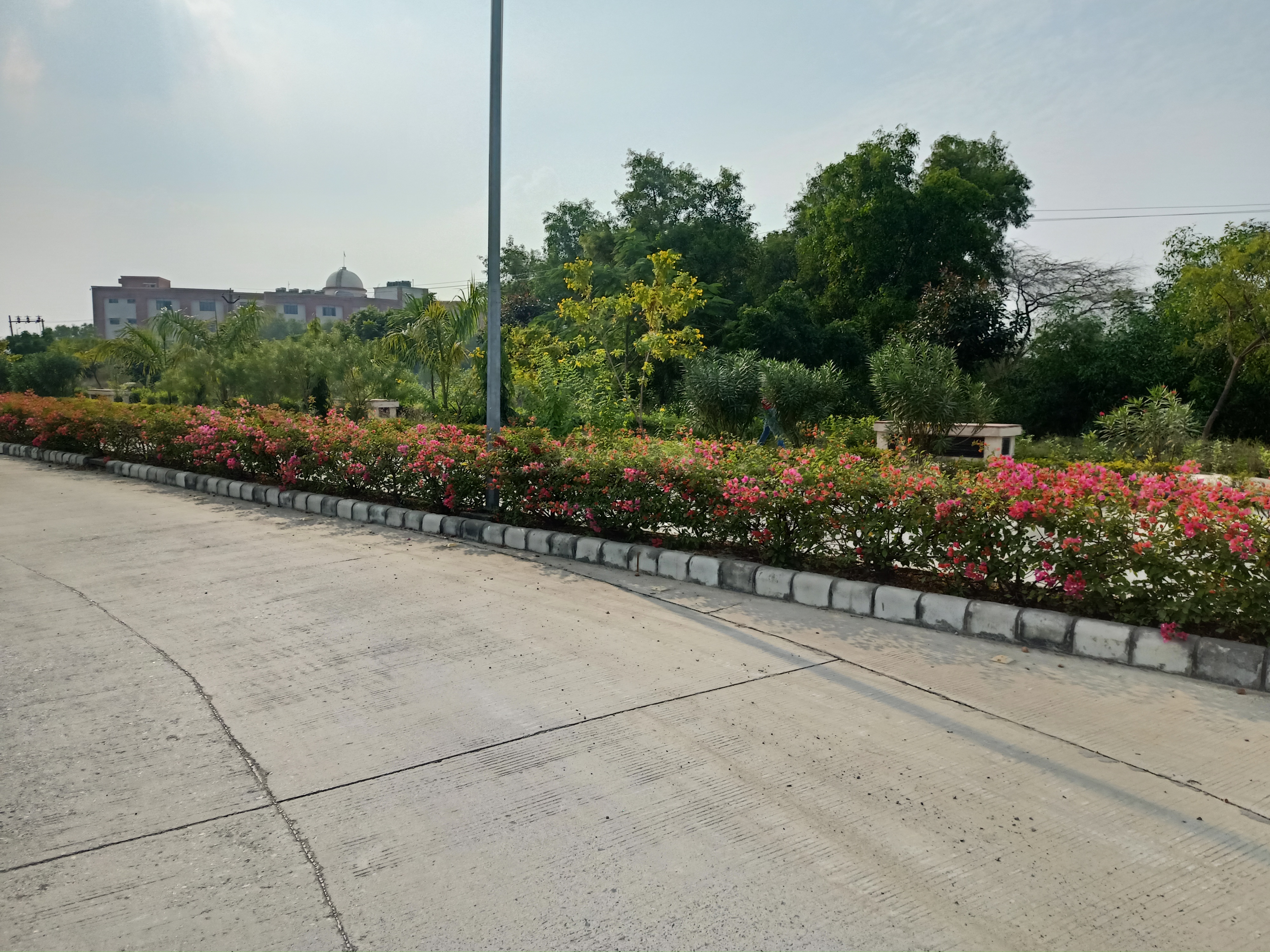 Patna University Campus View(2)