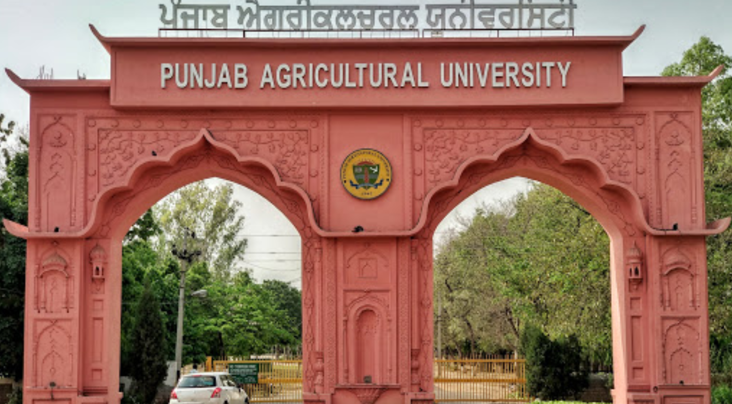 PAU Ludhiana Entrance(2)