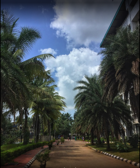 PIMSR Campus View