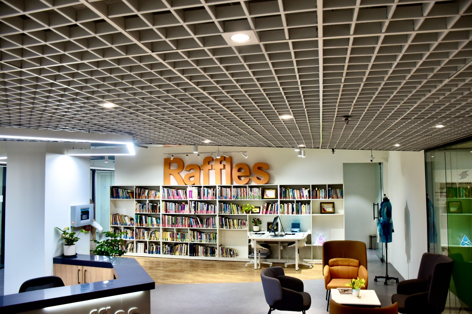 Raffles Design International Mumbai Library(2)