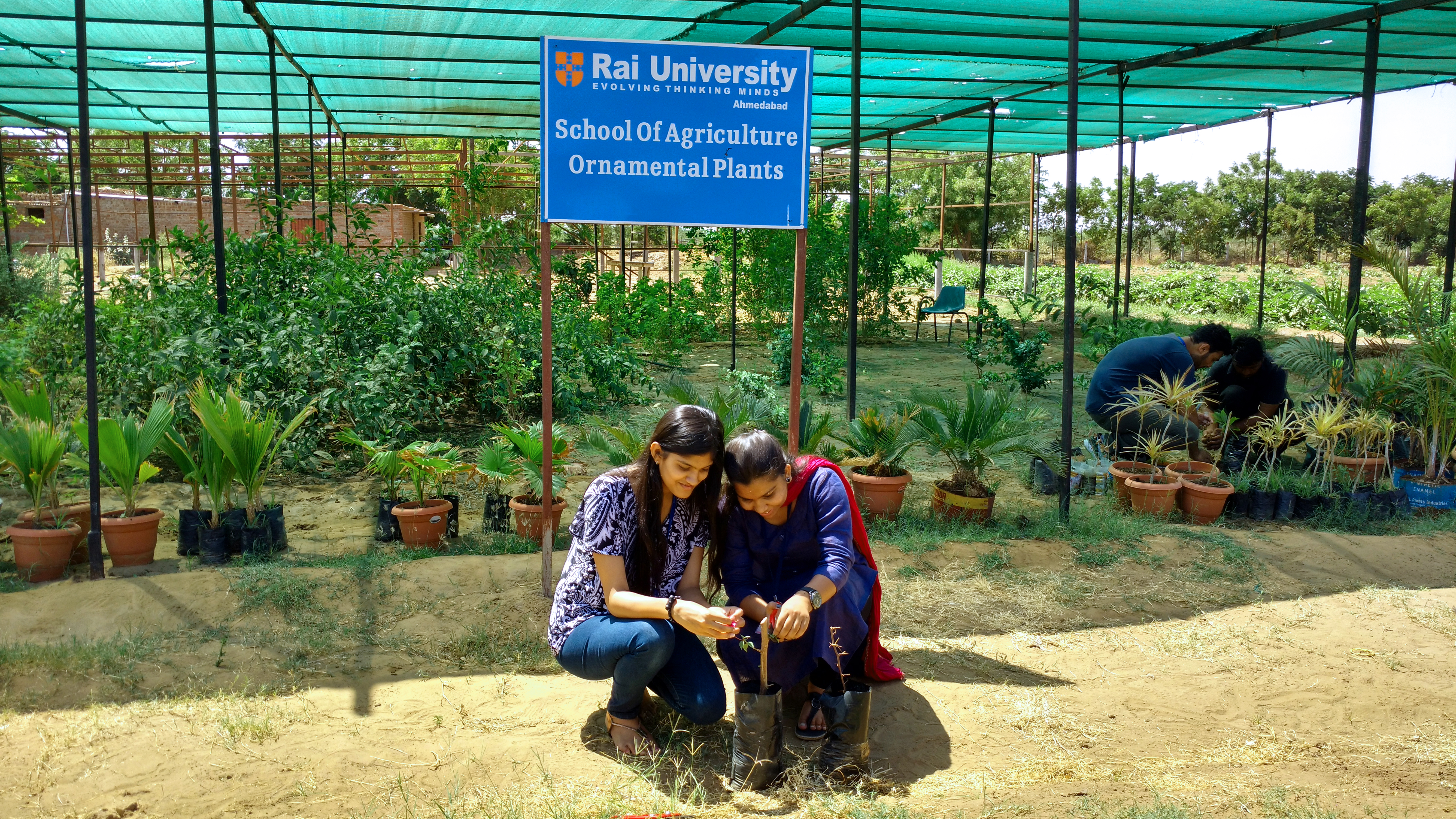 Rai University Ahmedabad Campus View(2)