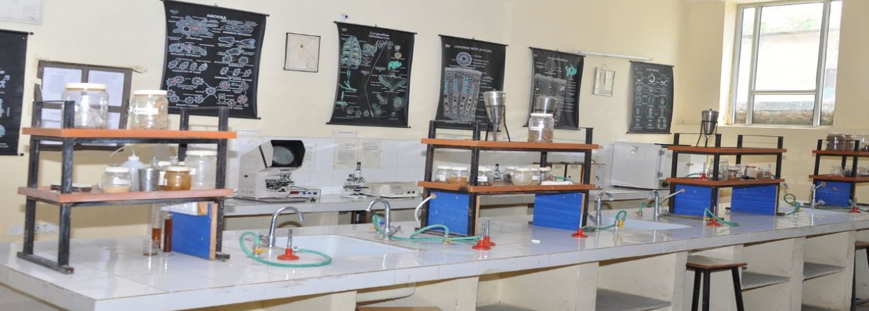 RPC Labs