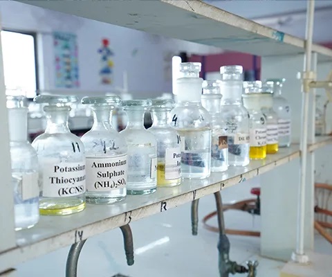 Renaissance University Labs(2)