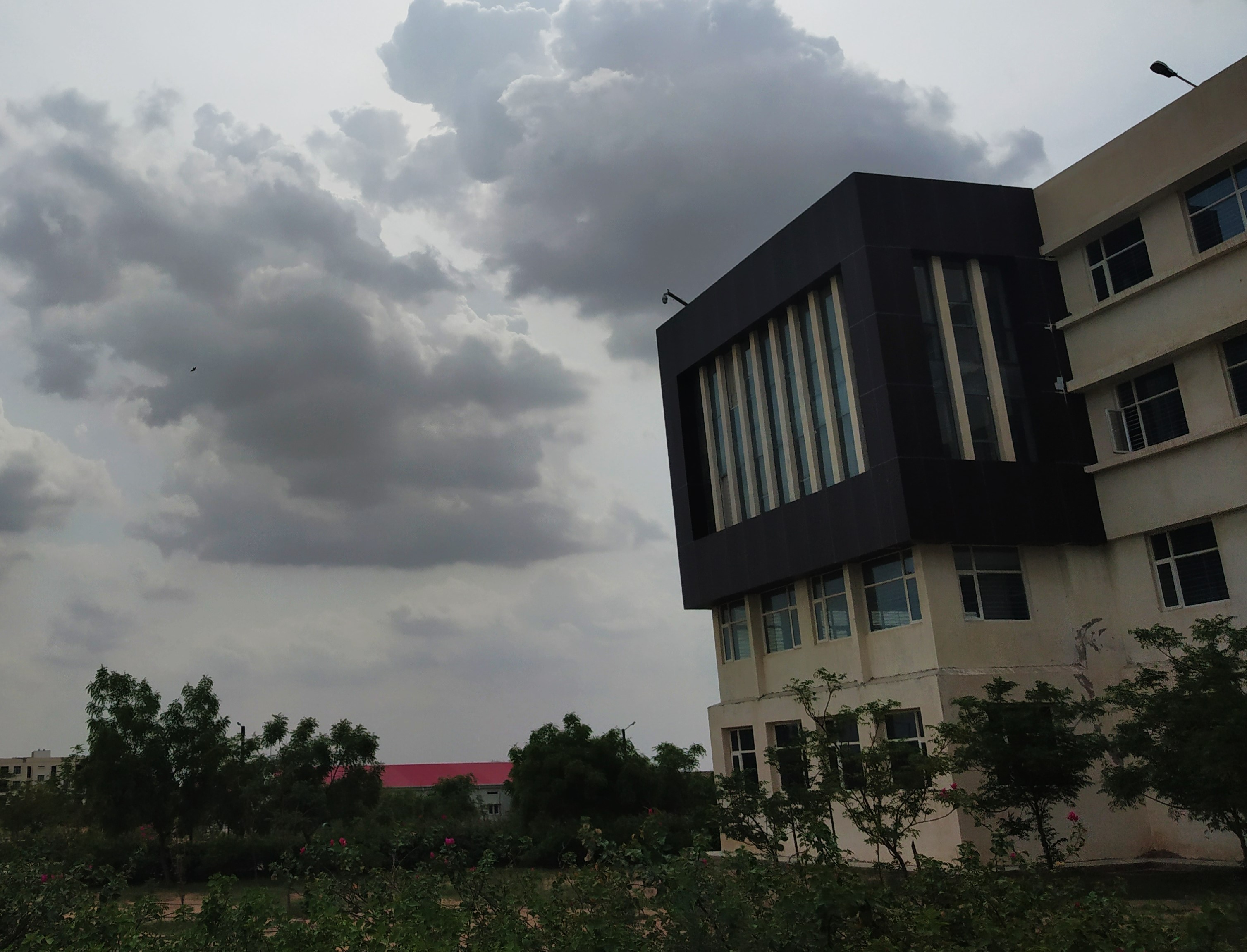 RNBGU Campus View(4)