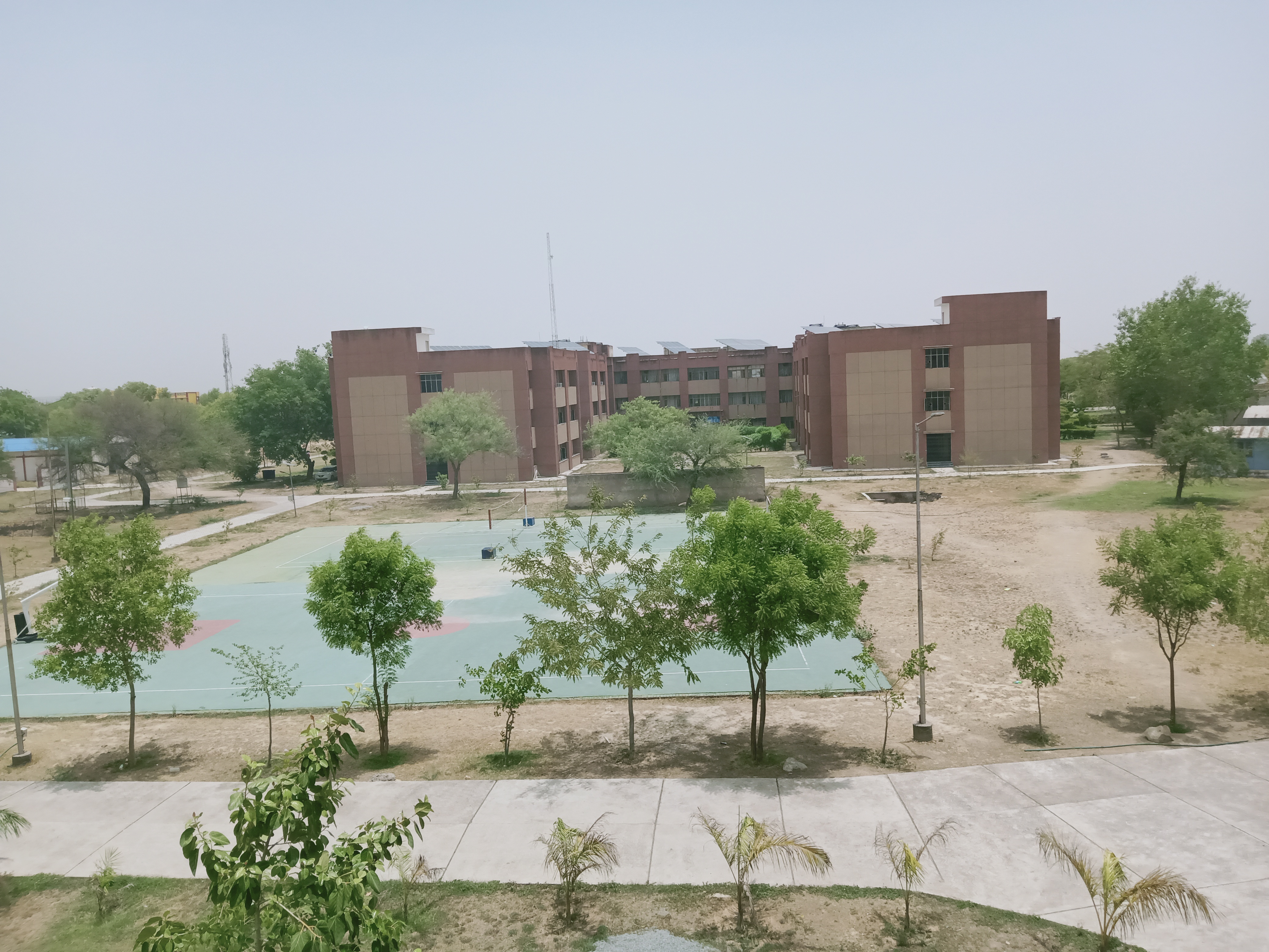 RJIT Playground