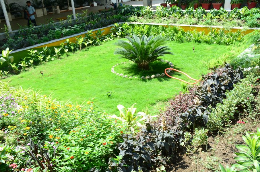 Sharnbasva University Fest(2)