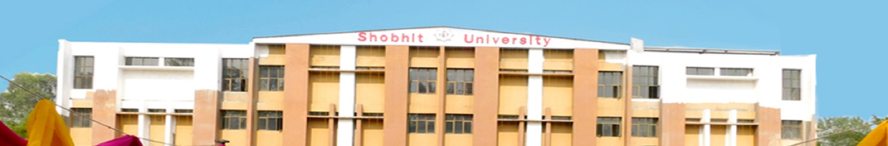 Shobhit Institute of Engineering and Technology Others