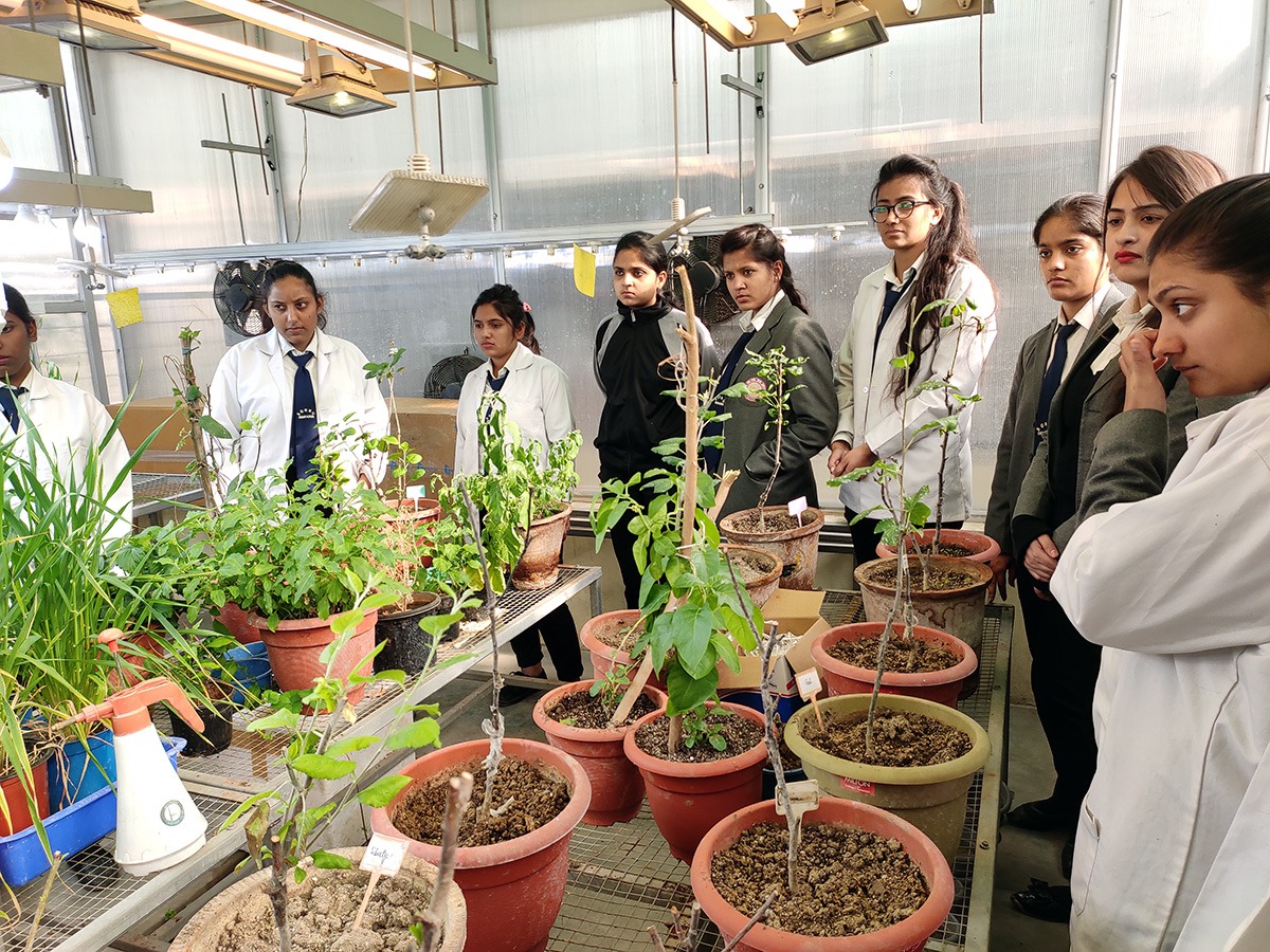 Shri Guru Ram Rai University Others(2)