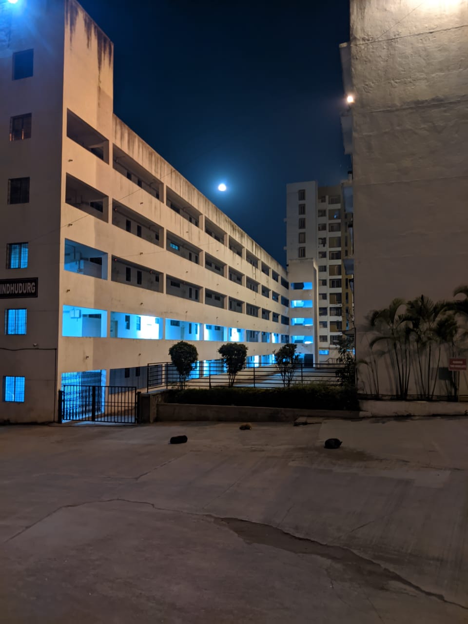 SCOE Night View