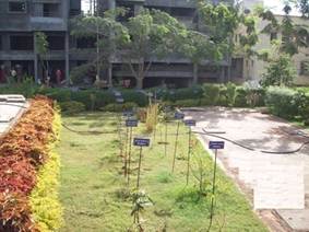 Sinhgad Institute of Pharmacy Others(1)