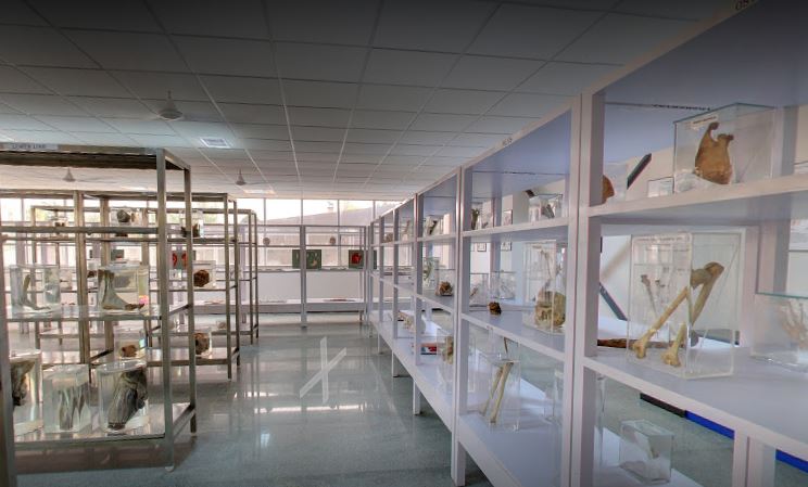 sjbit Labs(1)