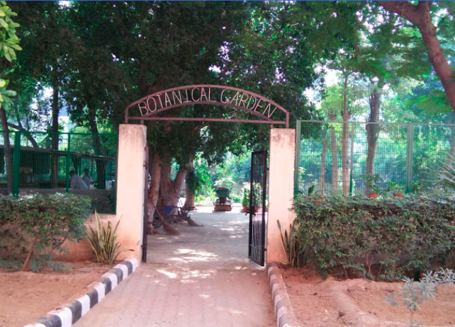 Sri Venkateswara College Others