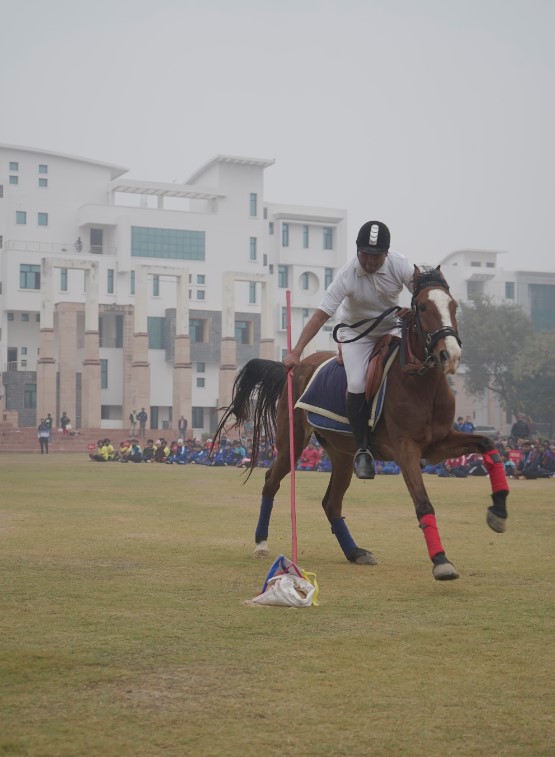Suresh Gyan Vihar University Jaipur Others(13)