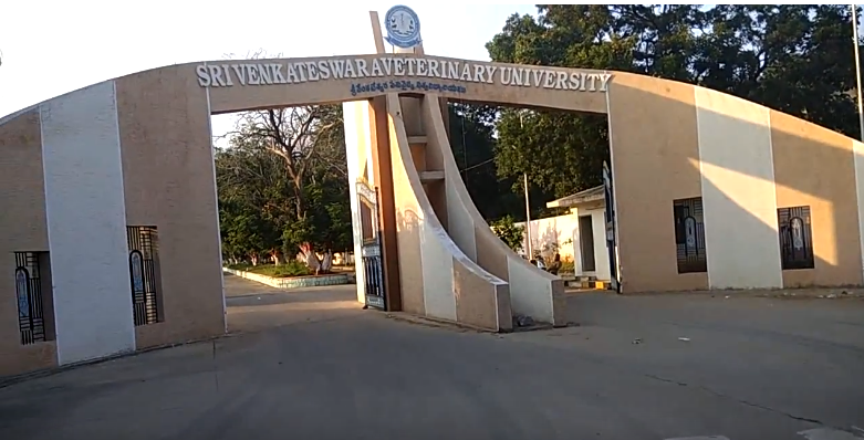 SVVU Entrance