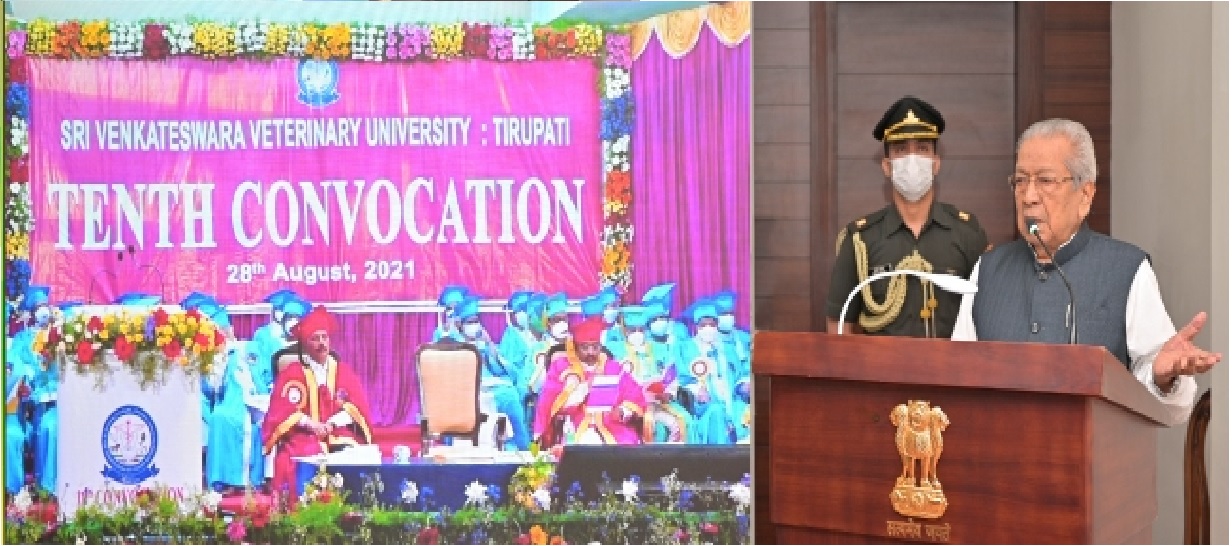 SVVU Convocation