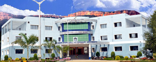 SVVU Campus Building(2)