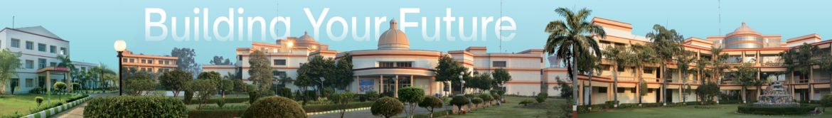 Swami Devi Dyal Group of Professional Institutions Campus View(1)