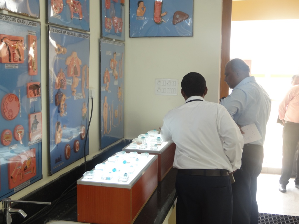 TANUVAS Labs(2)