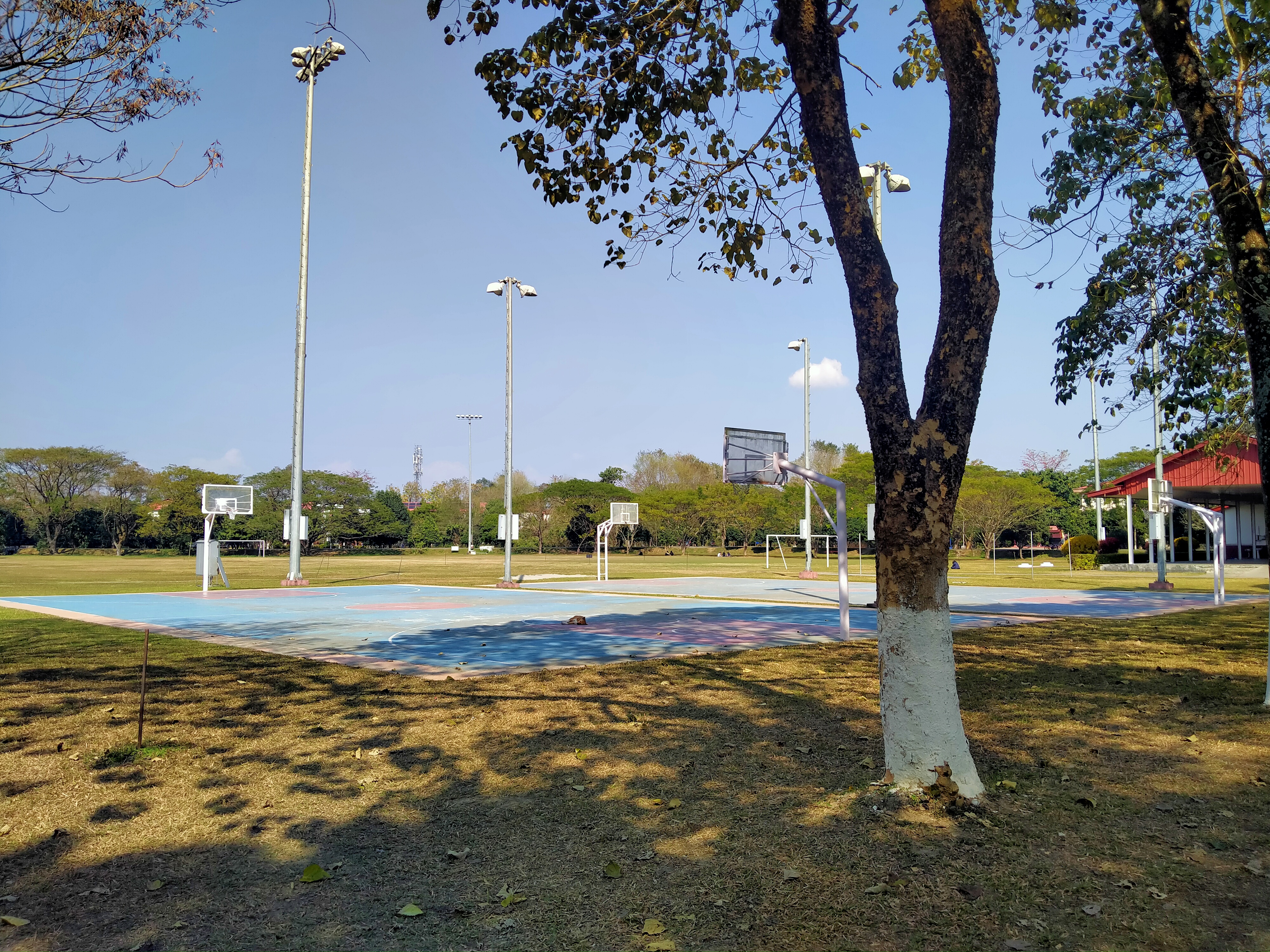 Tezpur University Playground(3)