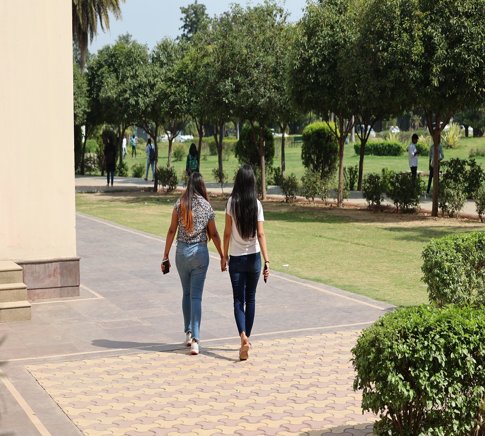 United World Institute of Design, GD Goenka University Others(5)