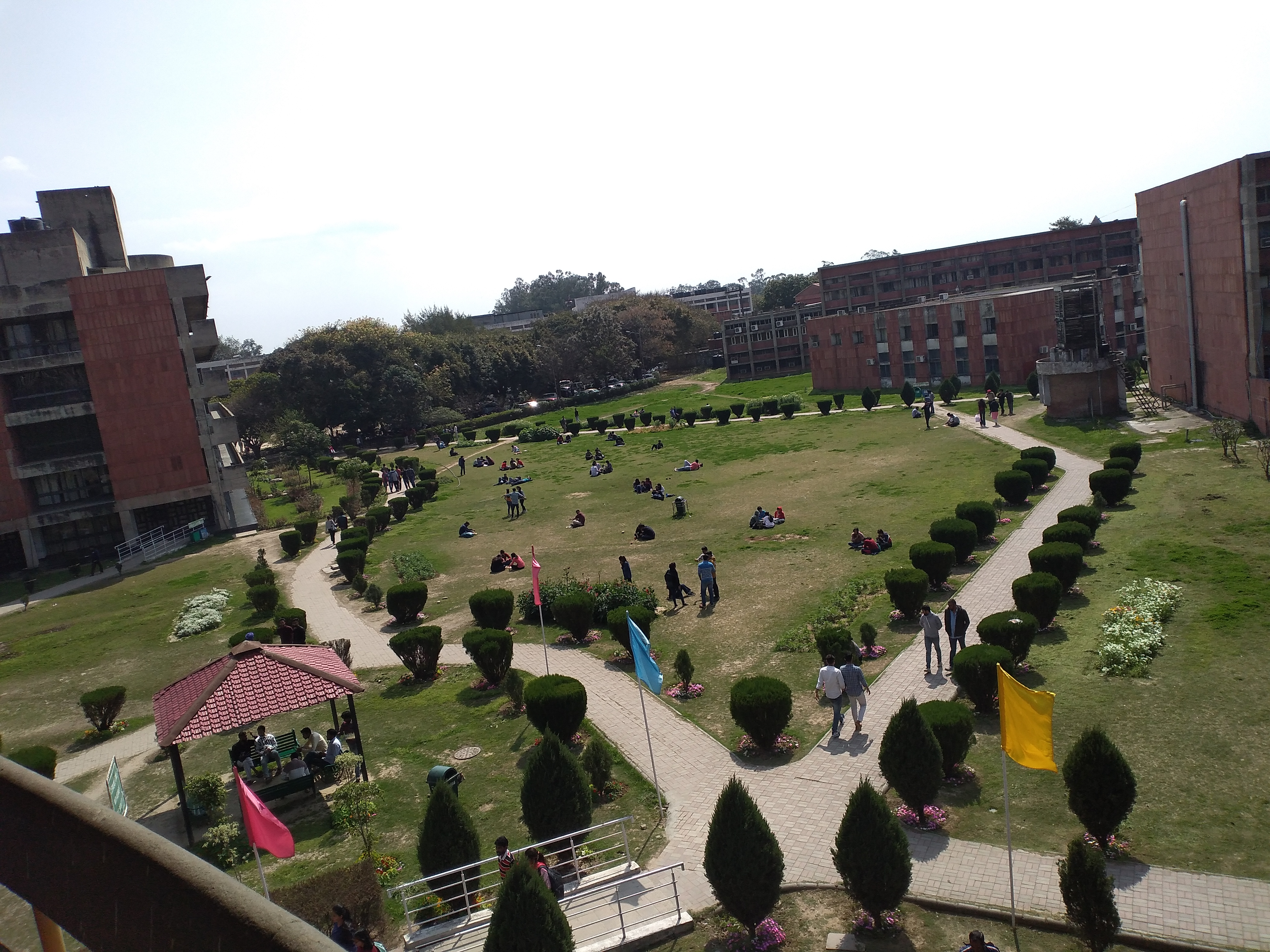 UIET Chandigarh Campus View(2)