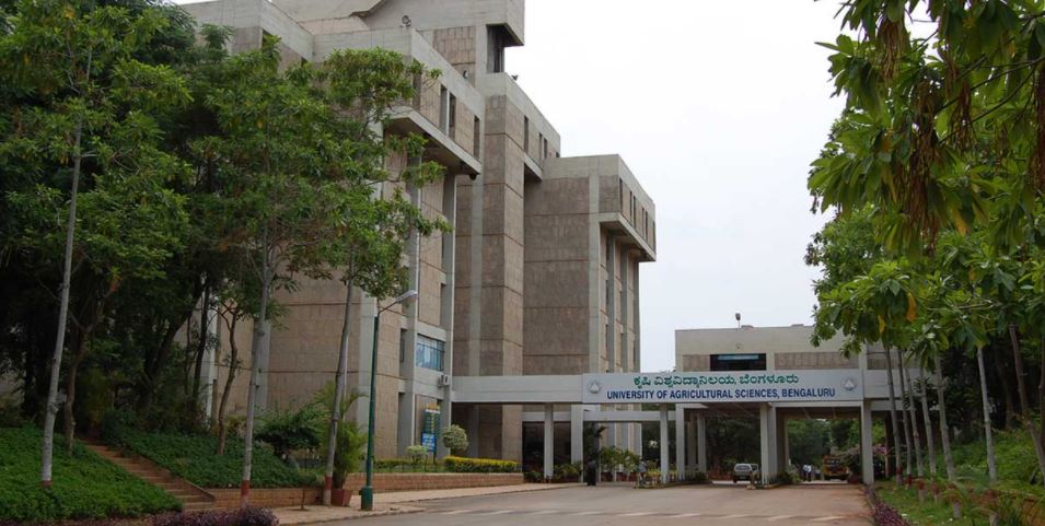 University of Agricultural Sciences Main Building(2)
