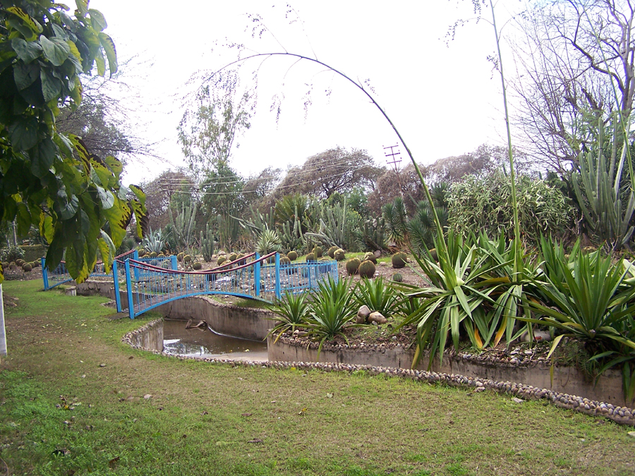 University of Jammu Campus View(4)