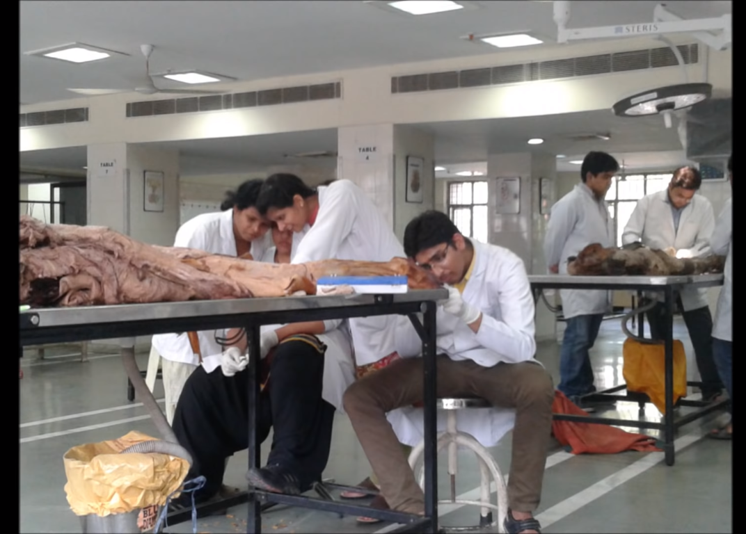 Vardhman Mahavir Medical College Labs(1)