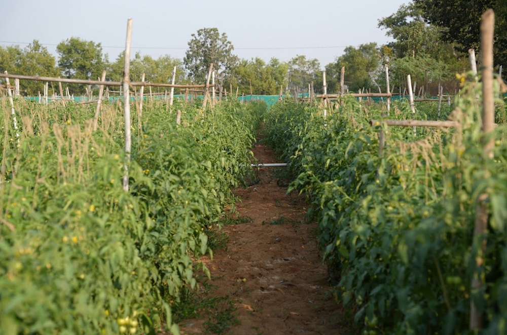 Vignana Jyothi Institute of Management Others(3)